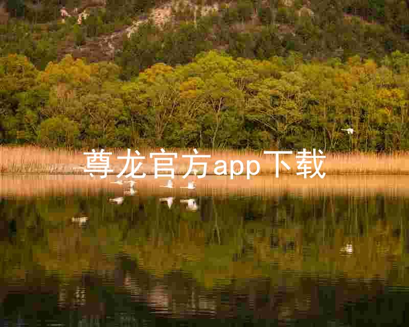 尊龙官方app下载