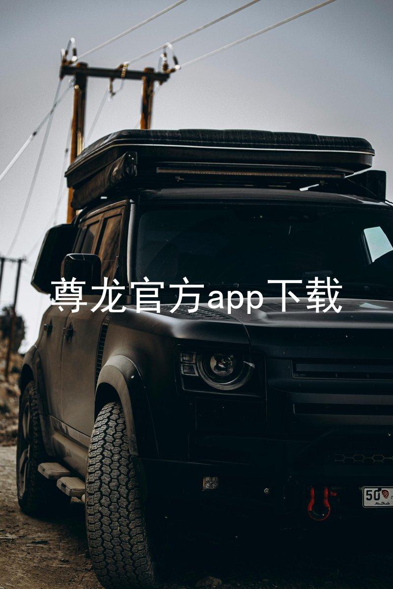 尊龙官方app下载