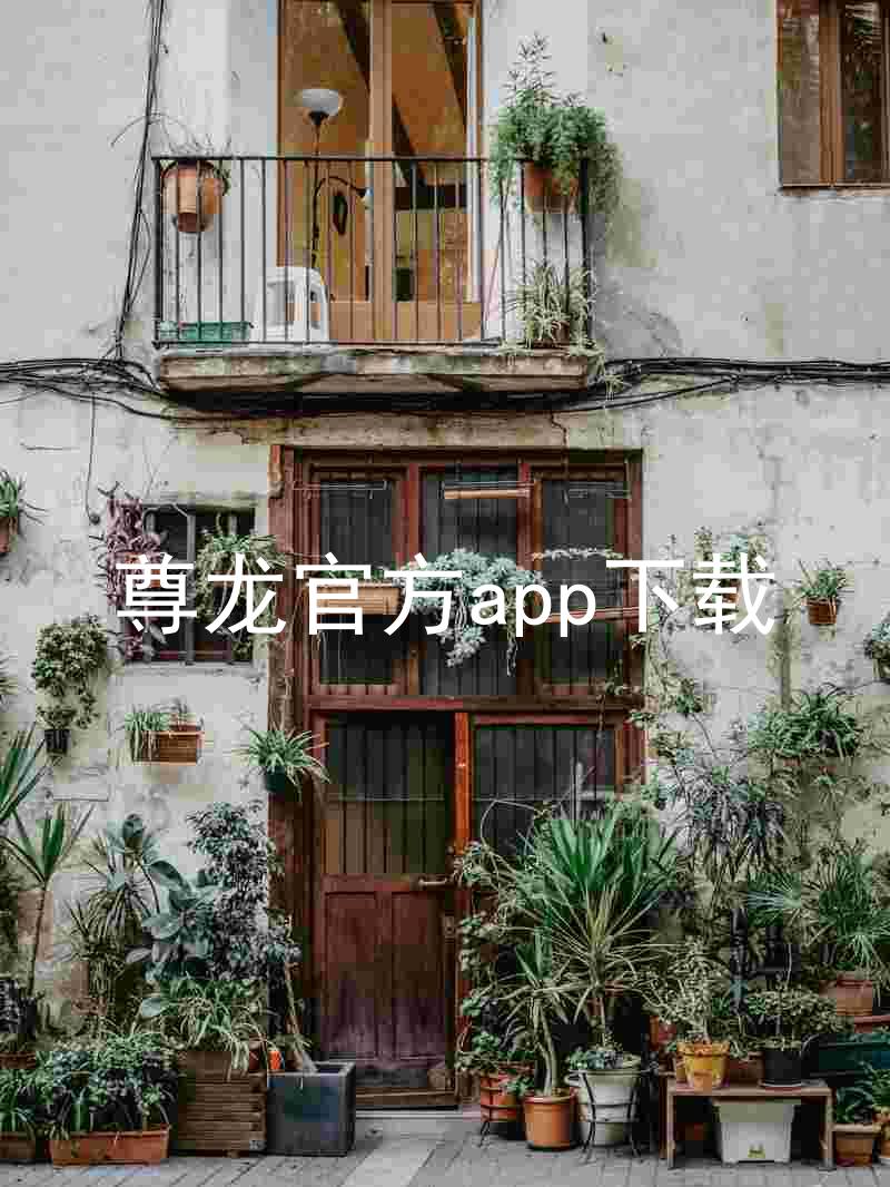 尊龙官方app下载