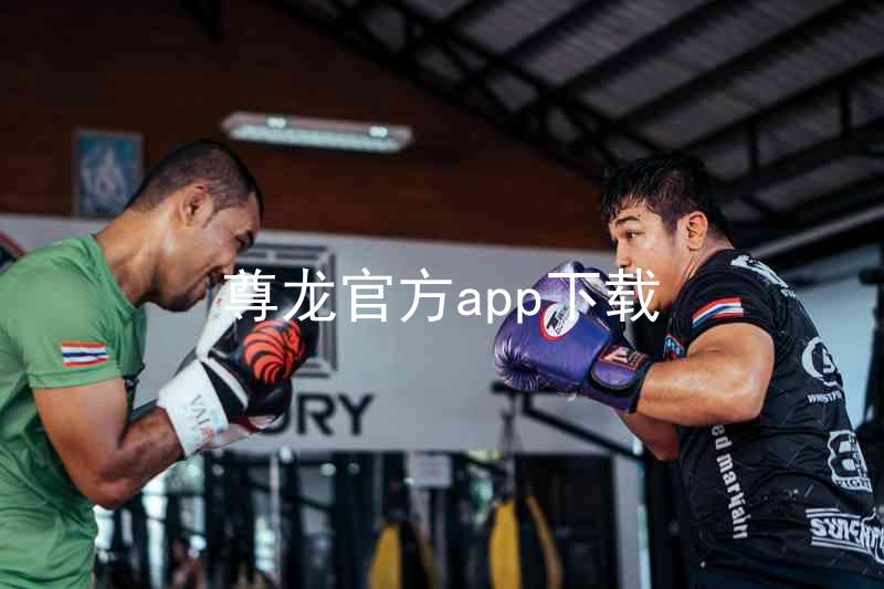 尊龙官方app下载