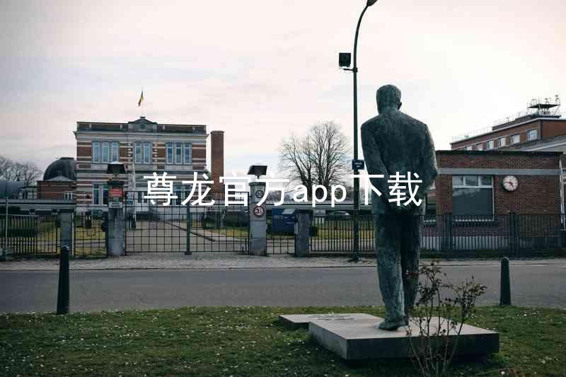尊龙官方app下载